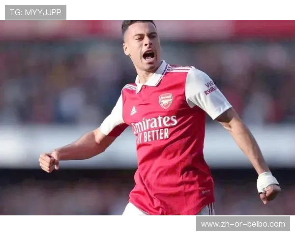 英超年轻球队:新兴球队的崛起与未来发展潜力