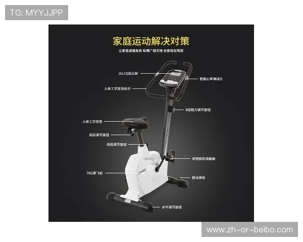 英派斯健身器材产品系列与市场评价